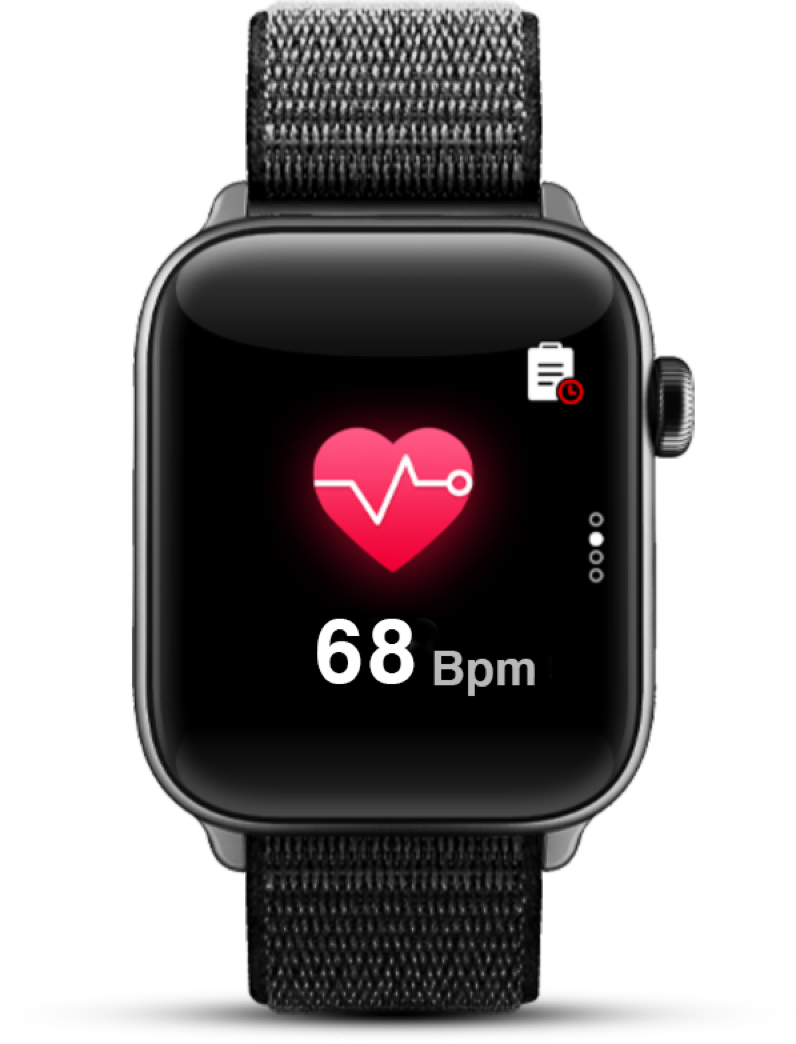 heart rate